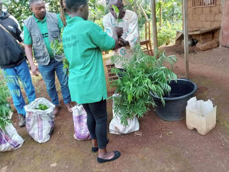 World environment day 2022