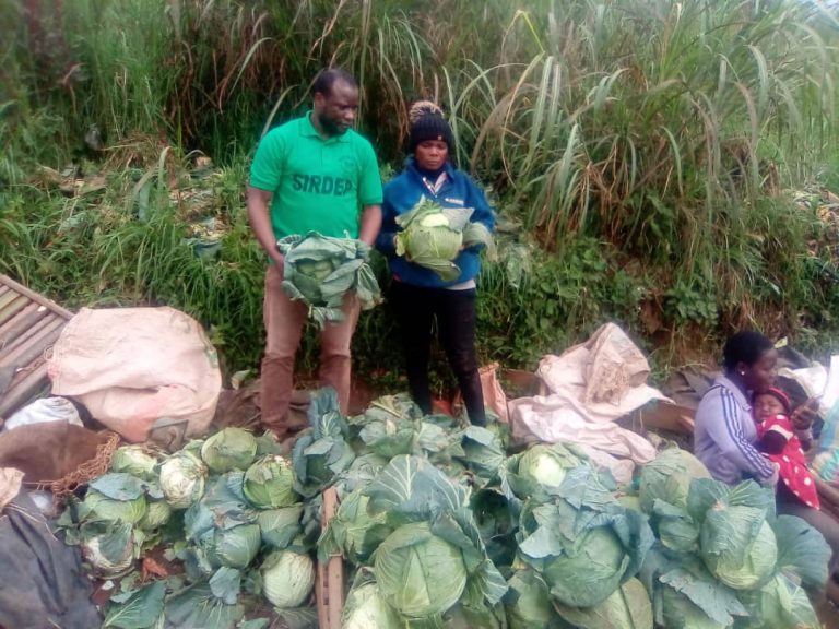 Food security (Agricultural training and extension)